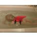 SwimFin Floatation Device for Kids | Training Floaties for Safe Pool & Beach Swimming - SWIMFINGRY - Buy Online on GoSupps.com