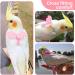 Phcozy Adjustable Pet Dishes & Bird Training Rope - Durable Nylon for Parrots - Anti-Bite Outdoor Leash - Buy Online on GoSupps.com