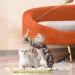 BEBOBLY 3-in-1 Retractable Cat Wand Toy | Interactive Feather Teaser with Bells | Electronic Smart Pet Exercise Toy - Buy Online on GoSupps.com