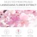 Sakura Face Sunscreen SPF 50 PA+++ Sunscreen Face face Cream SPF 50 with Centella SPF50 Moisturiser for Face Anti Redness Cream Lightweight Non-Greasy Waterproof Non Comedogenic Sunscreen - Buy Online on GoSupps.com