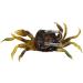 3Pcs 3D Simulation Crab Soft Lures with Sharp Double Hooks for Sea Fishing - Style3 - Buy Online on GoSupps.com