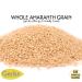 GERBS White Amaranth Grain 2 LBS. Premium Grade | Top 14 Food Allergy Free NON GMO | Freshly harvested packed in Resealable Bulk Bag | High in Protein  Fiber & Magnesium | Gluten Peanut Tree Nut Free Amaranth 2 Pound (Pack - Buy Online on GoSupps.com