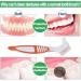 Rnitle 2-Piece Toothbrush Prostheses Set - Double-Bristled Dental Care Brushes with Ergonomic Rubber Grip (Orange & Green) - Buy Online on GoSupps.com