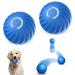 2PCs Ball Interactive dog toys Ball self-strolling ball dog Wicked Ball Dog interactive dog toy ball interactive dog ball toys hard-wearing automatic rolling ball blue-2PCs