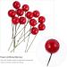 ABOOFAN 432 Pcs Diy Foam Red Fruit Berry Fall Berries for Crafts Red Berries Nativity Decor Faux Berries Branches Christmas Tree Filler Christmas Craft Wreath Pick Artificial Accessories - Buy Online on GoSupps.com