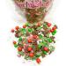 Sprinkletti - Christmas cake decorations 3 x 30g. A beautiful collection of Christmas sprinkle mixes perfect for decorating all your cakes & bakes. Ho Ho Ho! Jingle & Frosty Sprinkletti. - Buy Online on GoSupps.com