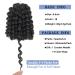 8 Inch Jamaican Bounce Wand Curl Crochet Hair, Short Curly Braiding Hair Extension - 20 Roots/Pack (5 PCS 1B) - Buy Online on GoSupps.com