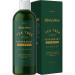 Invigorating Tea Tree Mint Shampoo - Clarifying Rosemary Mint Shampoo for Oily Hair with Tea Tree Oil - Aromatherapy Shampoo for Dry Scalp & Flakes with Essential Oils - Buy Online on GoSupps.com