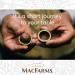 MacFarms Dry Roasted Macadamia Nuts - 24oz Premium Sea Salt Snack from Hawaii - Buy Online on GoSupps.com
