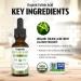 Dr. Green Life USDA Organic Folinic Acid Drops - 500 mcg per Drop | Methylation Support B9 Supplements for Kids & Adults | Supports Neurological Function, Nervous System Health & DNA Synthesis - Buy Online on GoSupps.com