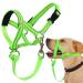 Dog half without pulling with soft upholstery hard -wearing halter for medium and large dogs including training instructions medium green
