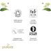 Pukka Routine Cha 6 Th s et Infusions Biologiques et Ayurv diques : Cha Original Cha la Vanille 100% des Ingr dients Issus du Commerce quitable 120 Sachets Lot de 6x20 sachets - Buy Online on GoSupps.com
