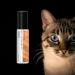 DEMETER Kitten Fur Roll On Perfume Oil 0.33 Oz Long-Lasting - Buy Online on GoSupps.com