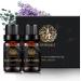 Aromatherapy Lavender Essential Oils Set 100% Pure Eucalyptus Scent Essential Oils Set 2X10ml Therapeutic Grade Eucalyptus Aromatherapy Essential Oils Lavender Fragrance Kit for Diffuser Humidifier