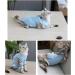 Yoolhamy Katzenbody - After Op Recovery Suit for Cats | Anti-Loss E-Collar Alternative for Abdominal Wounds | Small Blue - Buy Online on GoSupps.com