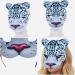 Holibanna Half-Sight Animal Leopard Masks - 2 Pack Venetian Costumes for Carnival & Easter Cosplay - Buy Online on GoSupps.com