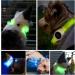 Laroo LED Dog Collar - USB Rechargeable Night Safety Luminous Collar for Small Medium Large & Long-Haired Dogs - 3 Modes 65cm x 2.5cm Blue - Buy Online on GoSupps.com