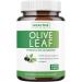 Olive Leaf Extract (Non-GMO) Super Strength: 20% Oleuropein - 750mg - Vegetarian - Immune Support Supplement  Skin Health  and Powerful Antioxidants Supplement - No Oil or Liquid - 120 Capsules 120 Count (Pack of 1)