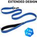 DOKI Reflective Double-Sided Nylon Dog Lead with Padded Handle - 1.2m Strong Leash for Small, Medium, Large Dogs (3.9FT Blue) - Buy Online on GoSupps.com