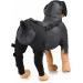 Pet Dog Hind Leg Brace Support Belt Pet Dog Double Hind Leg Brace Support Belt for Heals Prevents Injuries Sprains Protects Wounds. B Small - Buy Online on GoSupps.com