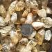 100g 20-40mm Natural Tumbled Citrine Quartz Crystal Stones Reiki Stones Brazil Natural Stones and Crystals Full of Texture - Buy Online on GoSupps.com