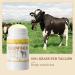 HOPHAT Beef Tallow Balm Stick Beef Tallow for Skin Grass Fed Tallow & Honey Balm Stick Moisturizing Skin Care Cream for Dry Skin - Buy Online on GoSupps.com