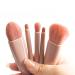 MJ JOMAY Mini Makeup Brush Set with Mirror - Professional Travel Set for Face, Eyebrow, Blush, and Lip Gloss - Pink - Buy Online on GoSupps.com