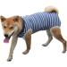 TOPAUP Dog Recovery Suit - Size L Blue | Post Surgery Bodysuit for Neutering & Wound Protection - Buy Online on GoSupps.com