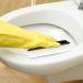 EWOKE Bart Harringer-WIMM | Cleaning Brush for Sinks & Toilets | Soft Bristles & Slip-Resistant Tool | International Shipping Available - Buy Online on GoSupps.com