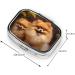 Yellow Pomeranian Pill Case - Cute 2 Compartment Travel Organizer for Pocket & Purse | Perfect Gift - Buy Online on GoSupps.com