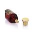 Fragrance World Evening Twilight - Eau de Parfum Unisex Perfume 100ml - Buy Online on GoSupps.com
