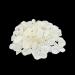 Chios Mastic Gum Mastiha Greek Medium Tears 25-460 grams Premium Quality (25 grams) - Buy Online on GoSupps.com