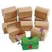 Colorations DIY Papier-Mache Treasure Chests - Set of 12 - Buy Online on GoSupps.com
