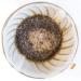 Organic Peru Medium Roast Coffee - Nutty Chocolate & Citrus Flavor - 2.5 lb Bag - Buy Online on GoSupps.com