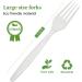ECOLipak 150-Count 100% Compostable Biodegradable Forks - Large Size Heavy Duty CPLA Cutlery for Parties, BBQs, Picnics - Buy Online on GoSupps.com