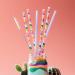 Swig Life Luxy Leopard + Blush Reusable Straw Set with Cleaning Brush - 10.25 Long Straws for 20oz, 22oz, and 32oz Tumblers - Buy Online on GoSupps.com