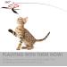 cobee Cat Wand Toys Interactive Cat Toys with 2 Feather Refills Cat Feather Propeller Wand Toy with Bell Cat Feather Toys Replacement Refills Indoor Cat String Toy for Kitten Training(Piebald) - Buy Online on GoSupps.com