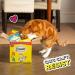 Dreamies Mega Pack Cat Treats Tasty Snacks with Delicious Catnip 6 Pouches of 200 g - Buy Online on GoSupps.com
