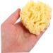 FOYTOKI Moisturizer Bath Sponges for Bathing Sea Sponges for Bathing Body Sponges for Shower Exfoliating Shower Sponge for Body Shower Sponges Bath Sponges for Shower Sponge Bath - Buy Online on GoSupps.com