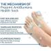 Shop FOTEPP SOFEET Bunion Socks - Anti-Bunion Health Socks for Relief | 5 Colors 5 Pairs - Best Bunion Cure - Buy Online on GoSupps.com