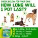 CANIVET Probiotics for Dogs. Canine Dietary Supplement - Aids Digestive Health 100g Powder Dog Probiotic. 5 Billion CFU** with 10 Strains of Good Bacteria for your Dog's Digestive Health. 100 g (Pack of 1) - Buy Online on GoSupps.com
