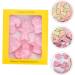 Zerodeko 3 Sets Biscuit Mold Animal Crackers Biscuits Fudge Bunny Cookies Gummy Fondant Mold Fried Dessert 3D 7.6x5cmx3pcs Pinkx3pcs - Buy Online on GoSupps.com