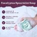 Purple Canyon Bath Gift Set for Women - Revitalizing Eucalyptus Spearmint & Cucumber Mint Self-Care | International Shipping Available - Buy Online on GoSupps.com