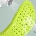 CSCDD Wormwood Insoles - Deodorant Breathable Shock-Absorbing Orthopedic Running Insoles for Size 45-46 - Buy Online on GoSupps.com