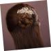 Amosfun Hair Accessories for Women Hair Pearls Bridal Antique Hair Comb Clips Wide Teeth Side Pins Bridal Hair Comb Fashion Headwear Costume Accessories Hair Ornament Flowers Headgear - Buy Online on GoSupps.com