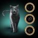 Sheba Classics in Pate - Grain-Free Cat Food with Poultry Cocktail - 22 x 85g Premium International Shipping - Buy Online on GoSupps.com