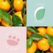 Sunday Rain Day Bliss Lightweight Moisturising Body Lotion Mist Spray Vegan & Cruelty-Free with Mandarin & Green Tea Extract 300ml - Buy Online on GoSupps.com