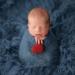 Zhangyo Newborn Photography Props | Handmade Heart-Shaped Felt for Baby Boy Photo Shoots - Buy Online on GoSupps.com