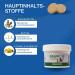 Nutrilabs Rascave Hepar for Dogs - 90 Liver Tablets with B Vitamins | Health Products & Dietary Supplements for Dogs - Buy Online on GoSupps.com