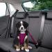 Slowton Dog Harness with Seat Belt for Car - Breathable Latex Puppy Safety Harness (XXXS Fuchsie) for Everyday Sports - International Shipping Available - Buy Online on GoSupps.com